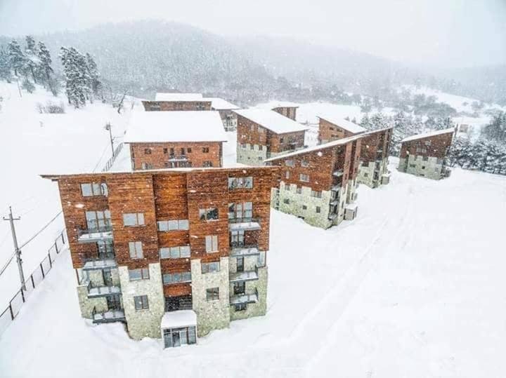 Бакуриани: Tsakadze N12, Villamont Appartment, Cottege N2, Floor N2