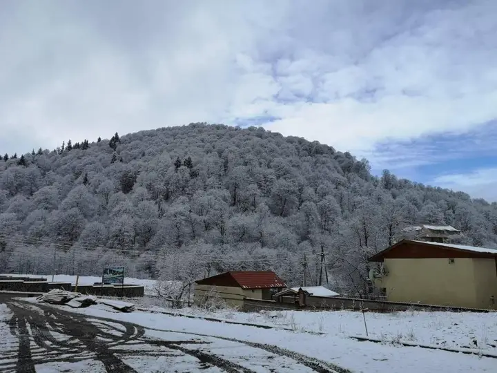 Бакуриани: Didveli Chalet Lele 146