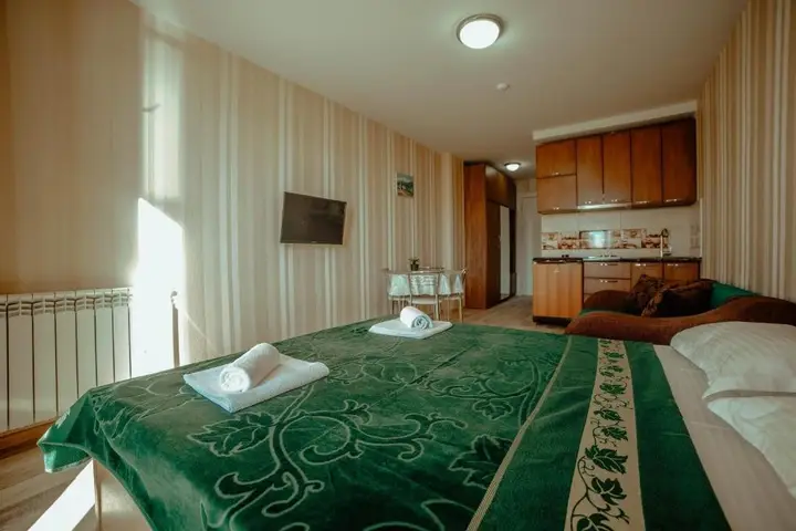 Гудаури: Loft 2_Mountain View
