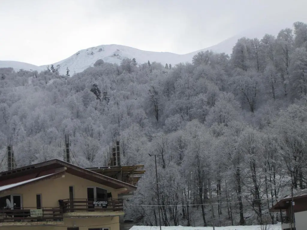 Бакуриани: Holiday In Bakuriani Apartment 209