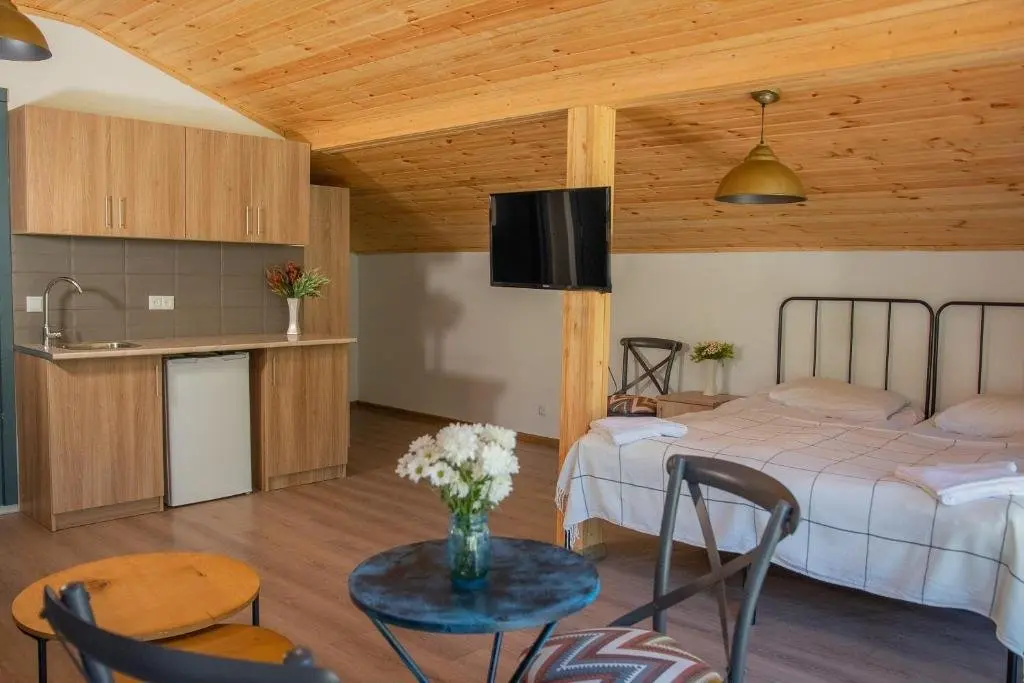 Бакуриани: Apartment Mgzavrebi 321