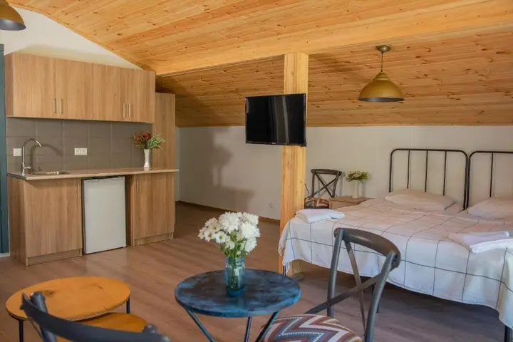 Бакуриани: Apartment Mgzavrebi 321