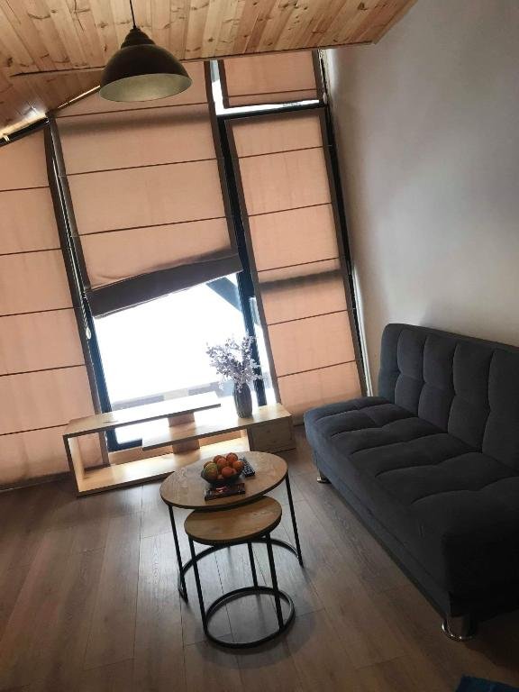 Бакуриани: Apartment Mgzavrebi 321