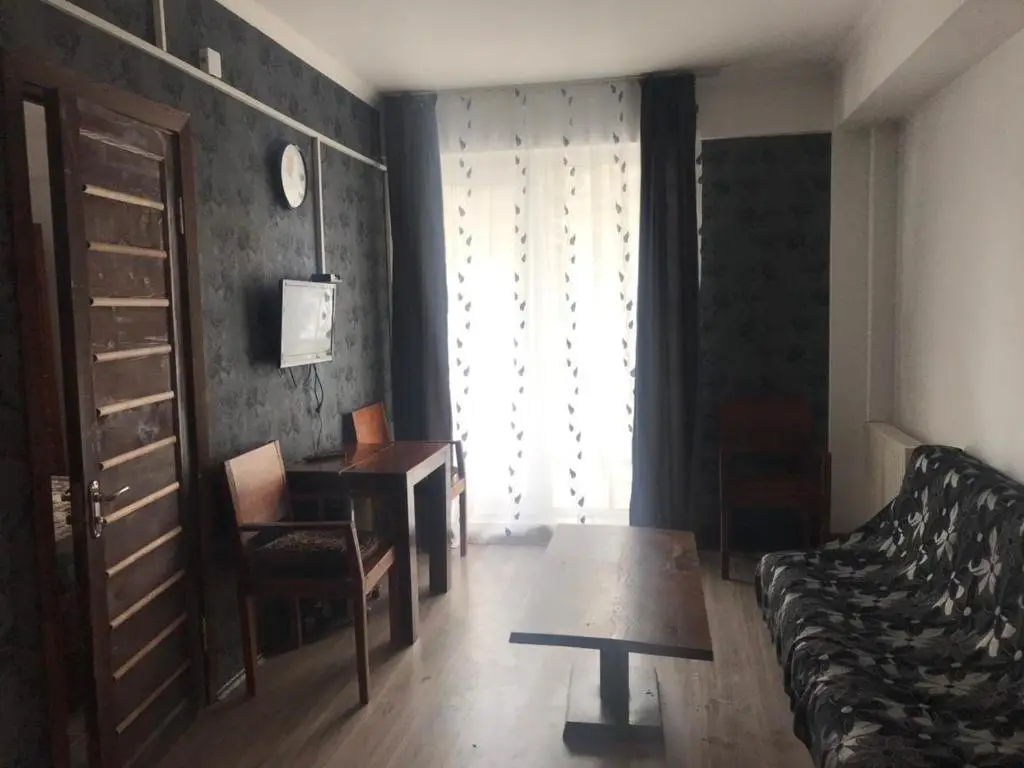 Бакуриани: Mgzavrebi Room N 401