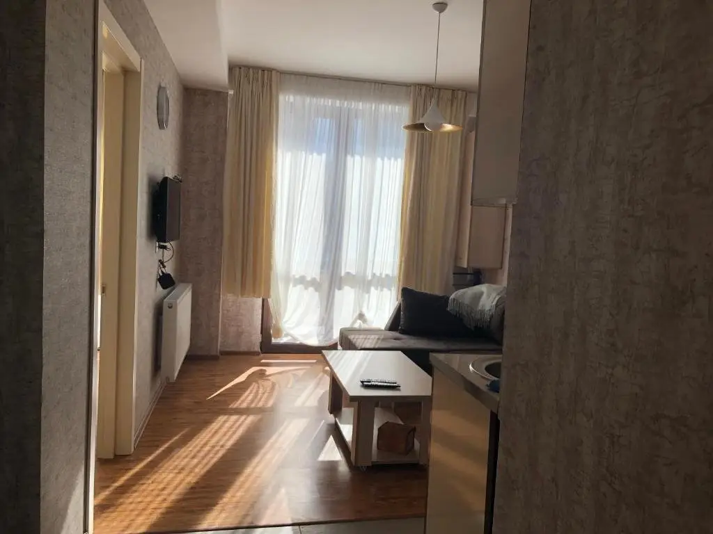 Бакуриани: Didveli Residence Apartment 9