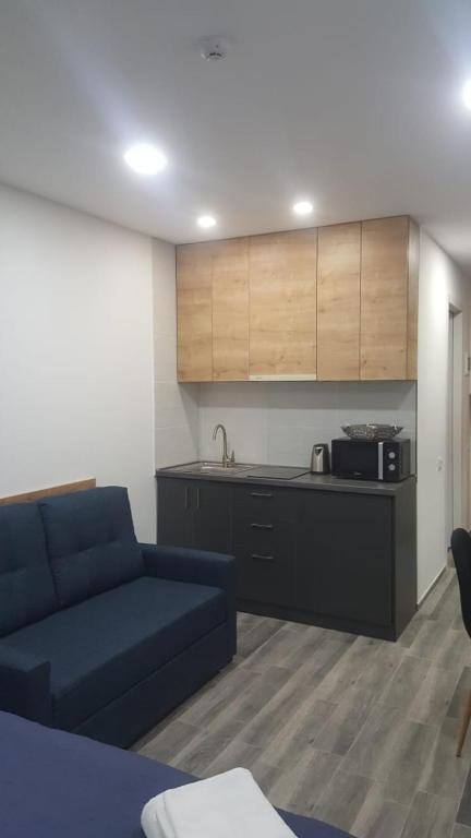 Гудаури: Gudauri Red-co Loft 1 - 205