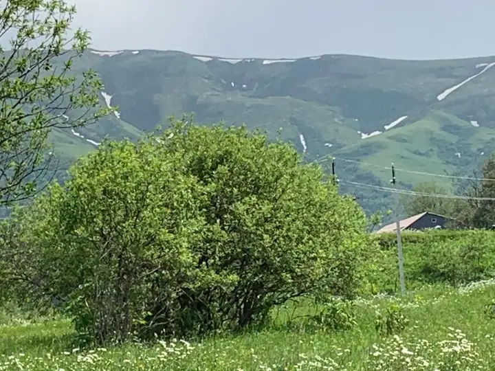 Бакуриани: Haystack Bakuriani 27