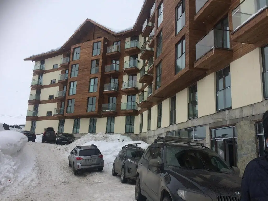 Гудаури: New Gudauri Loft2, App.421