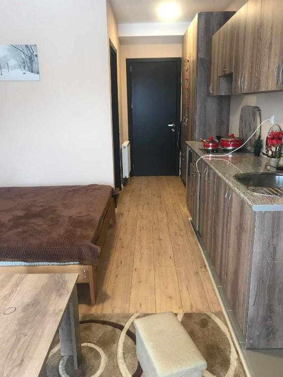 Бакуриани: Bakuriani Apartment 41