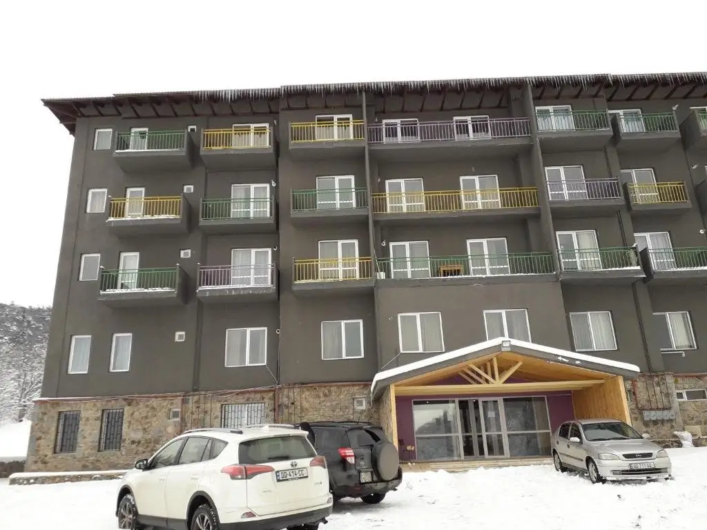 Бакуриани: Bakuriani Apartment 41