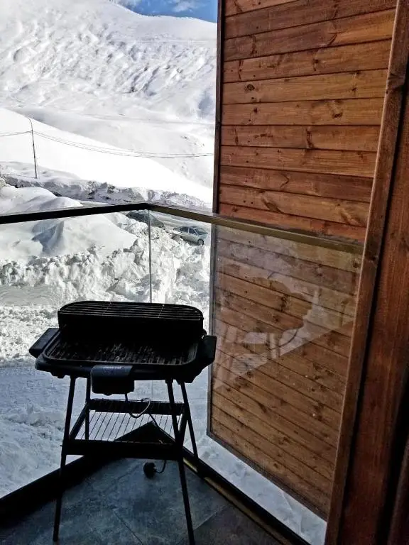 Гудаури: Gudauri Loft 2, RED CO #243