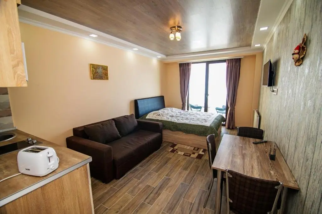 Гудаури: Gudauri Shiny Studio near Gondola
