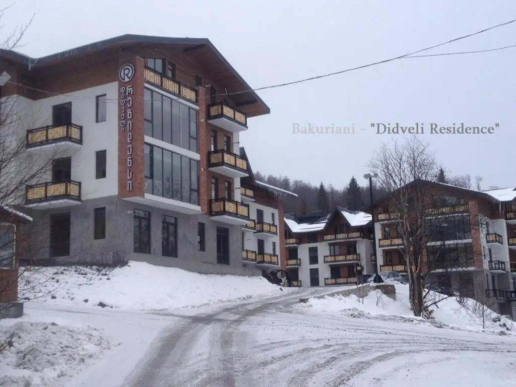 Бакуриани: Didveli Residence Geo #11