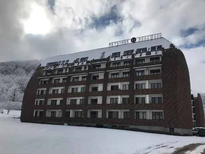 Боржоми: Haystack Bakuriani Apartment 222