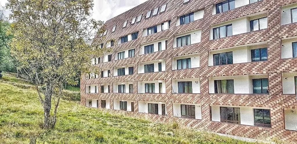 Боржоми: Haystack Bakuriani Apartment 222