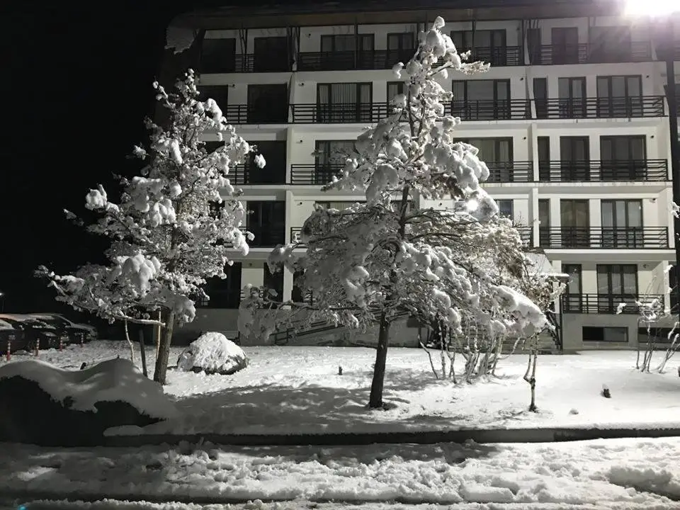 Боржоми: Haystack Bakuriani Apartment 222