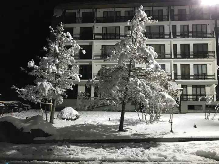 Боржоми: Haystack Bakuriani Apartment 222