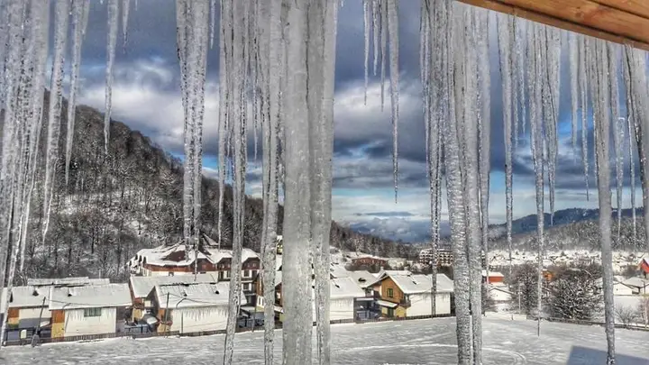 Бакуриани: Crystal Apart Resort - B403