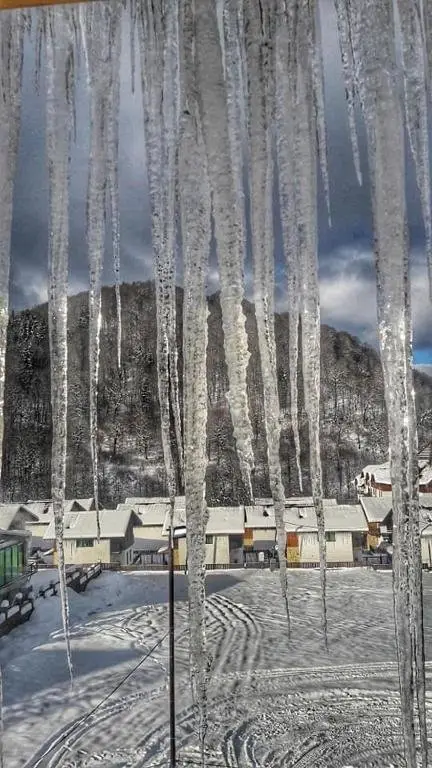 Бакуриани: Crystal Apart Resort - B403