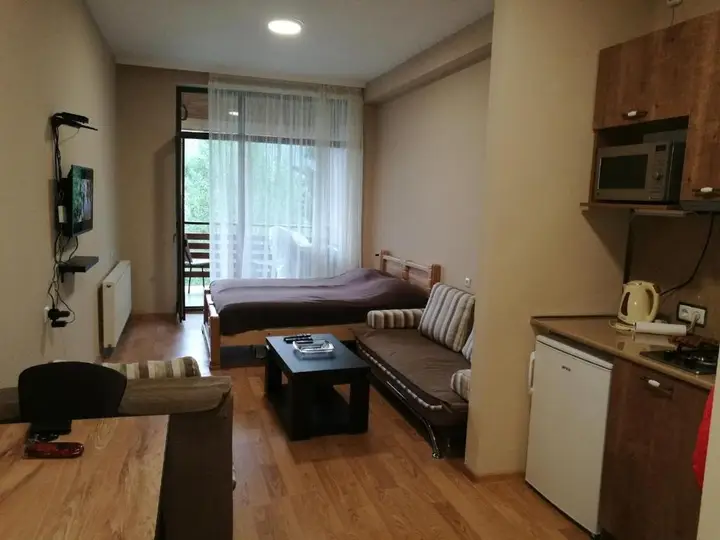 Бакуриани: Cozy Studio Apartment in Bakuriani City