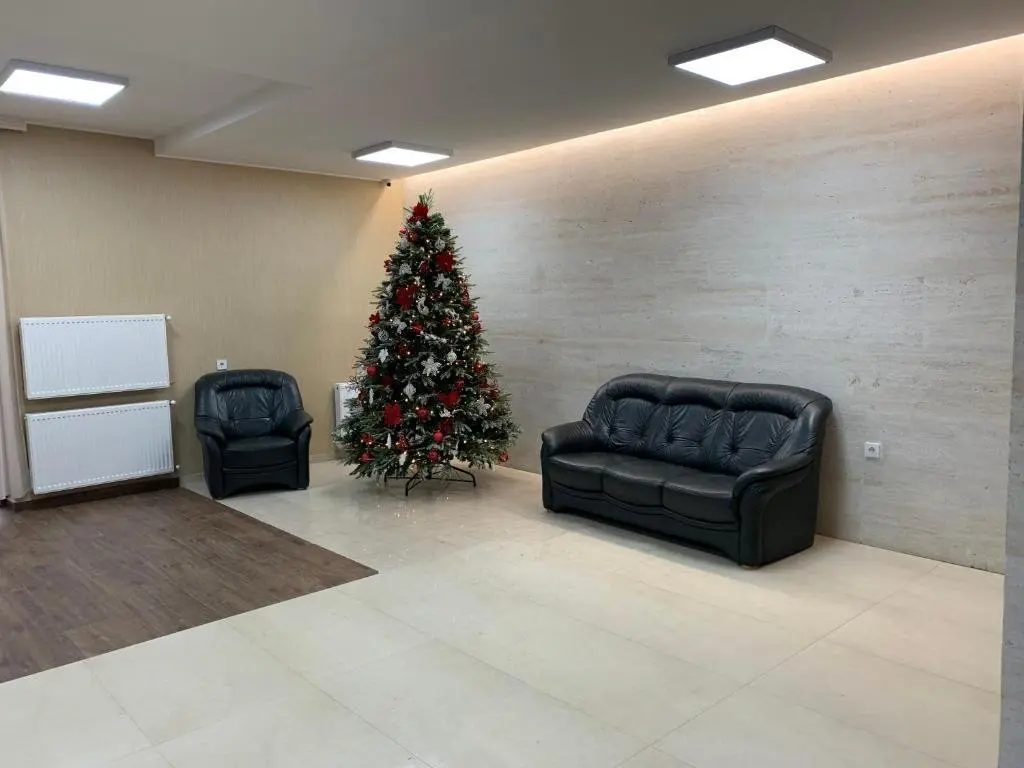 Бакуриани: Cozy Studio Apartment in Bakuriani City