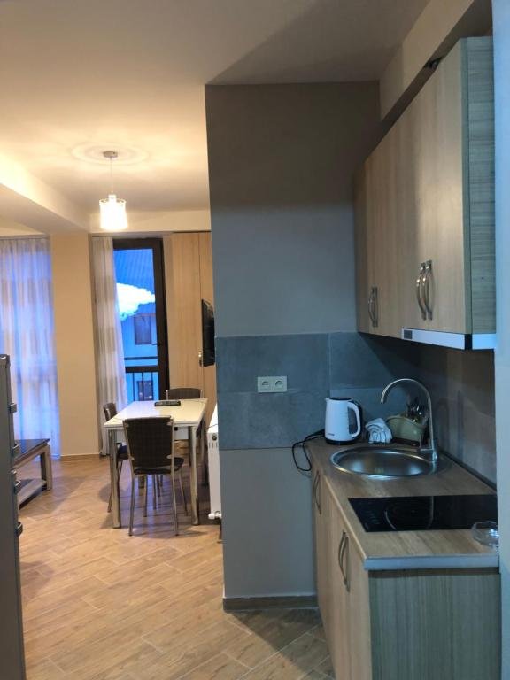 Бакуриани: Villa Hilton N216