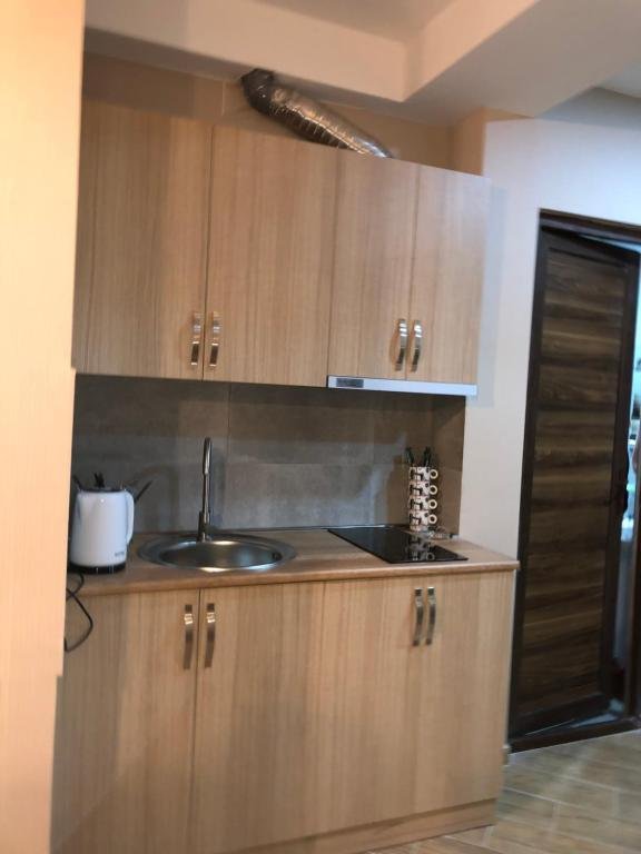 Бакуриани: Villa Hilton N216