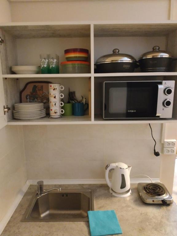 Бакуриани: Cosy 50 sq.ft. Apartment in Bakuriani