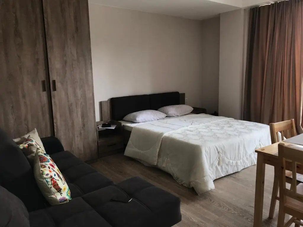 Бакуриани: Bakuriani Plaza B401