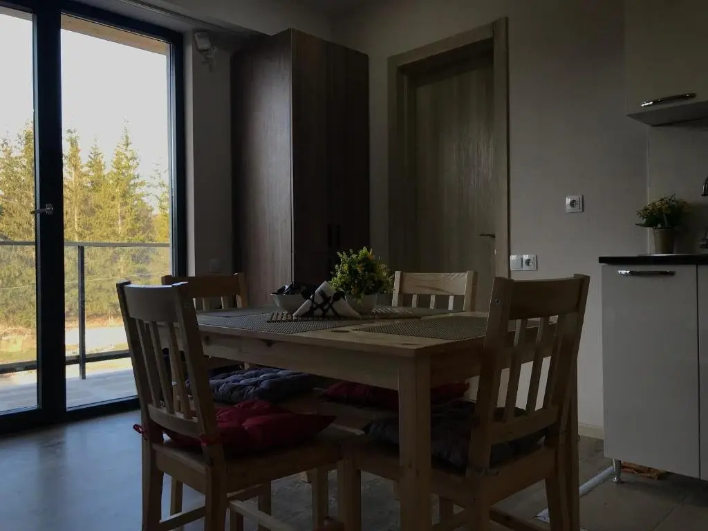 Бакуриани: Bakuriani Plaza B401