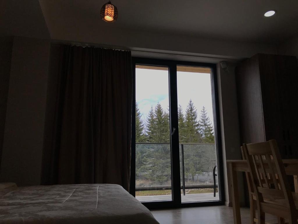 Бакуриани: Bakuriani Plaza B401