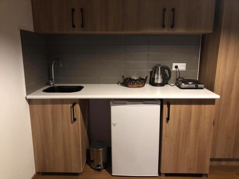 Бакуриани: Panorama Mgzavrebi Apartment Bakuriani 4