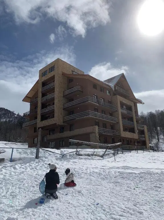 Бакуриани: K2 Apartment Complex, Building 2, Bakuriani