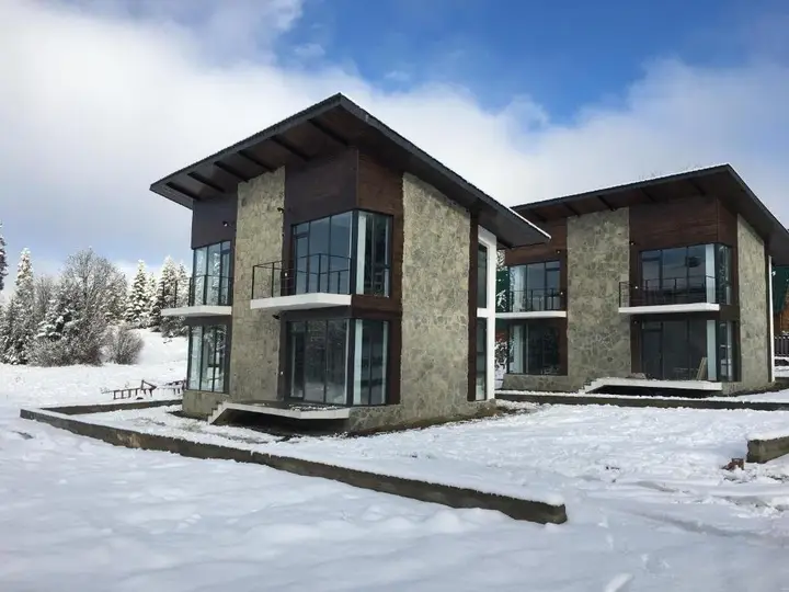 Бакуриани: Mountain Cottage 1 Bakuriani
