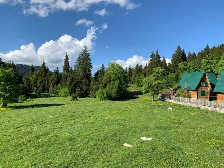 Бакуриани: Mountain Cottage 1 Bakuriani