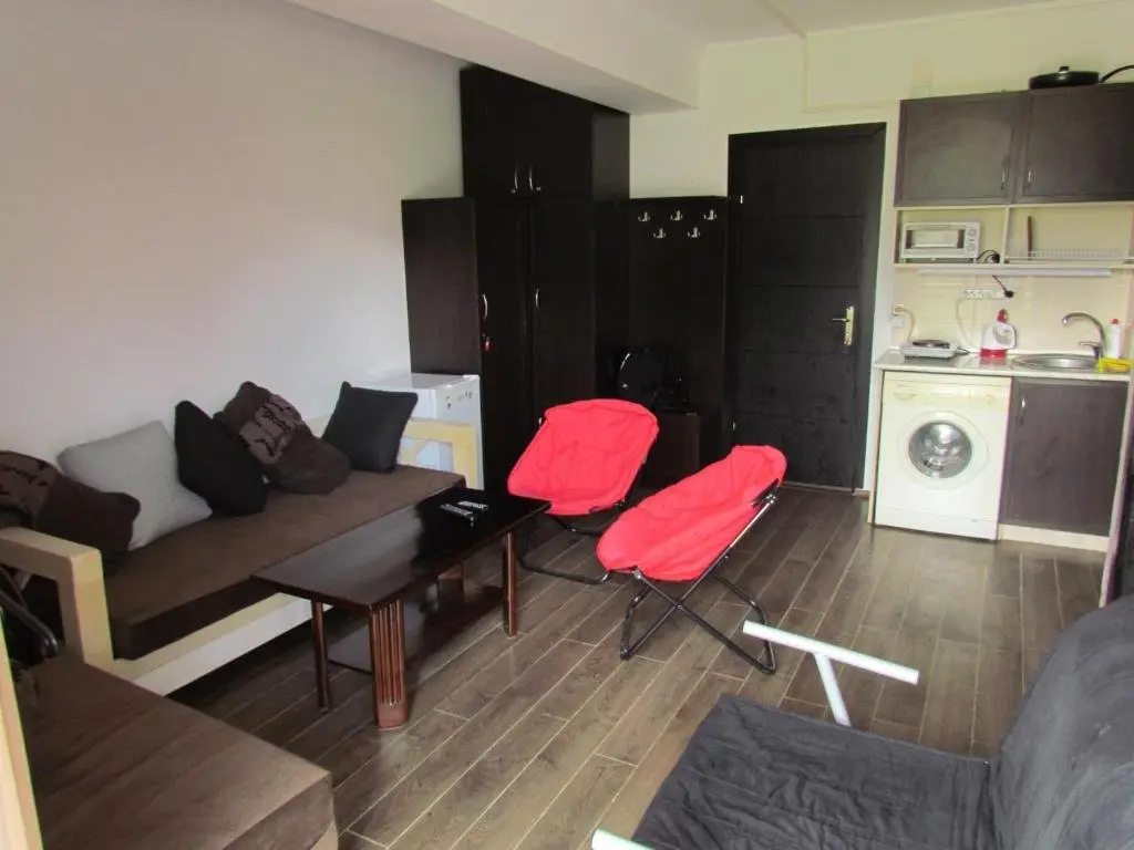 Бакуриани: Bakuriani apartments Mgzavrebi 307