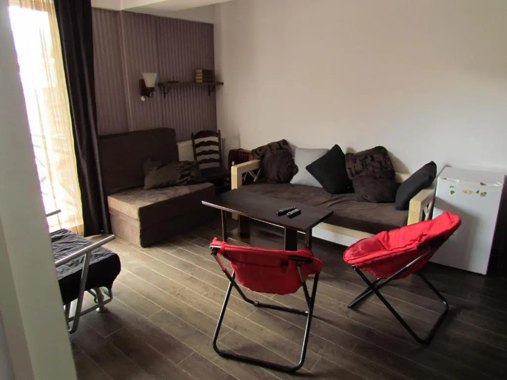 Бакуриани: Bakuriani apartments Mgzavrebi 307