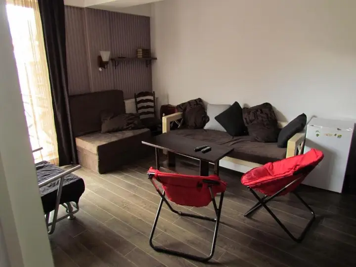 Бакуриани: Bakuriani apartments Mgzavrebi 307