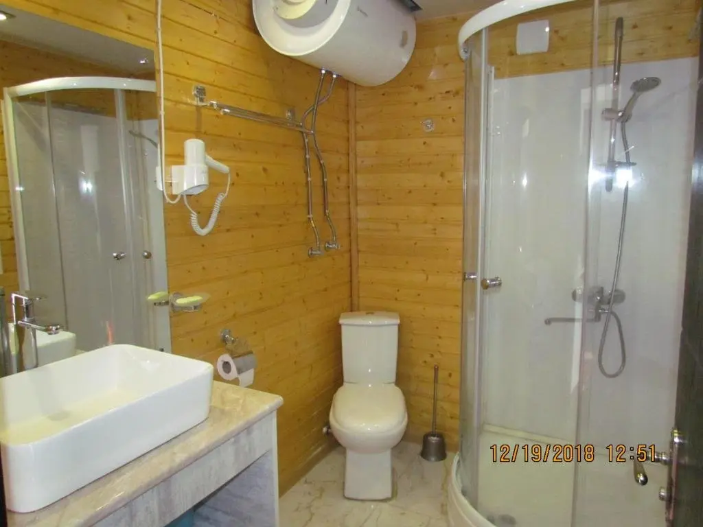 Бакуриани: Bakuriani apartments Mgzavrebi 307