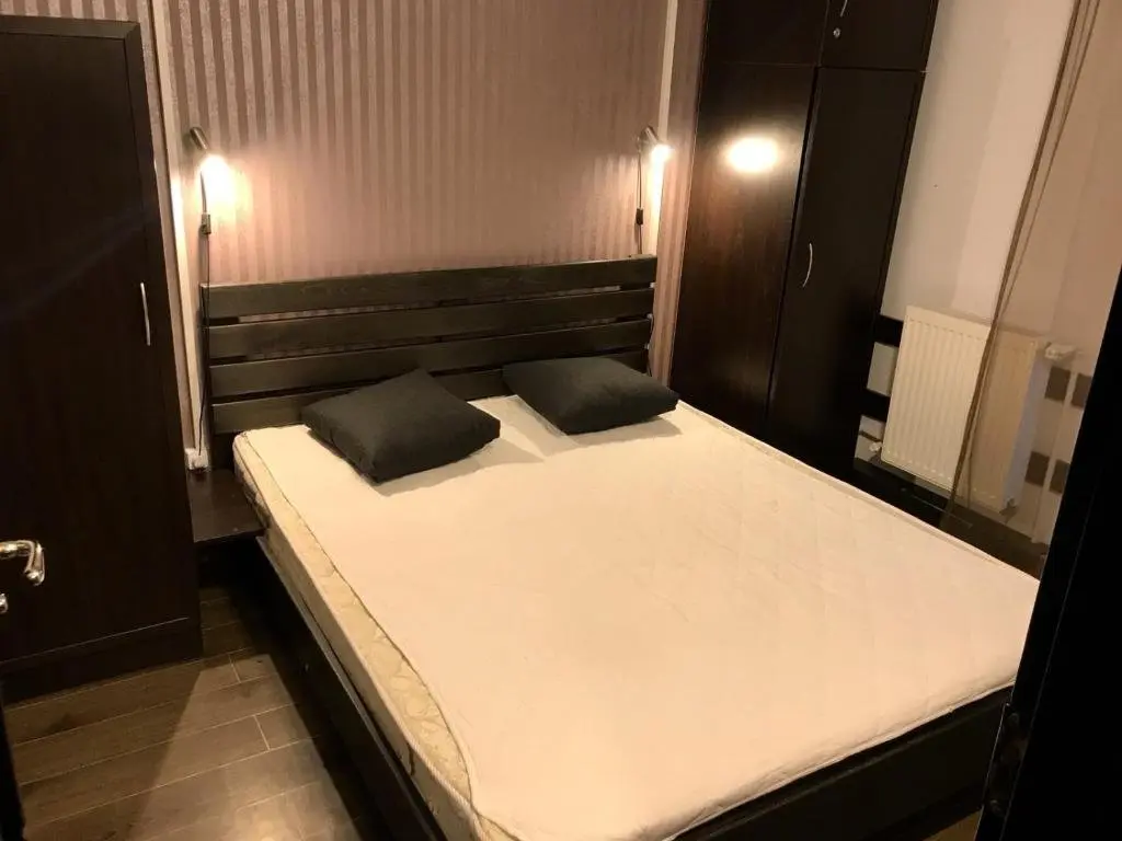 Бакуриани: Bakuriani apartments Mgzavrebi 307