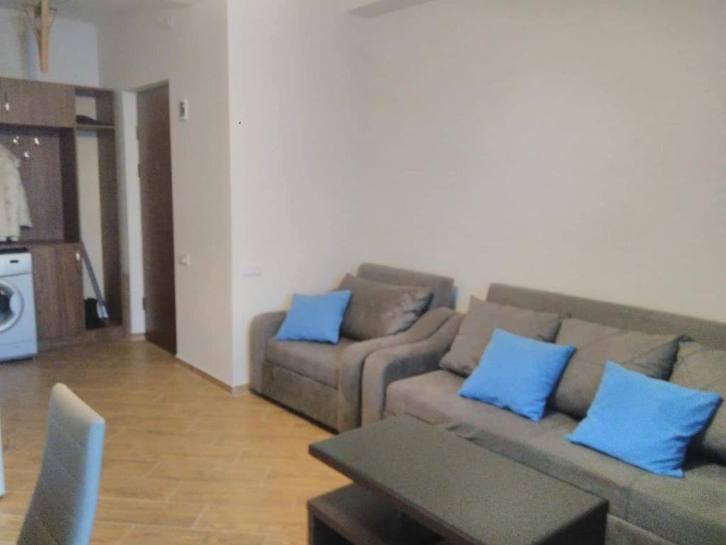 Бакуриани: 16/114 Aghmashenebli Street