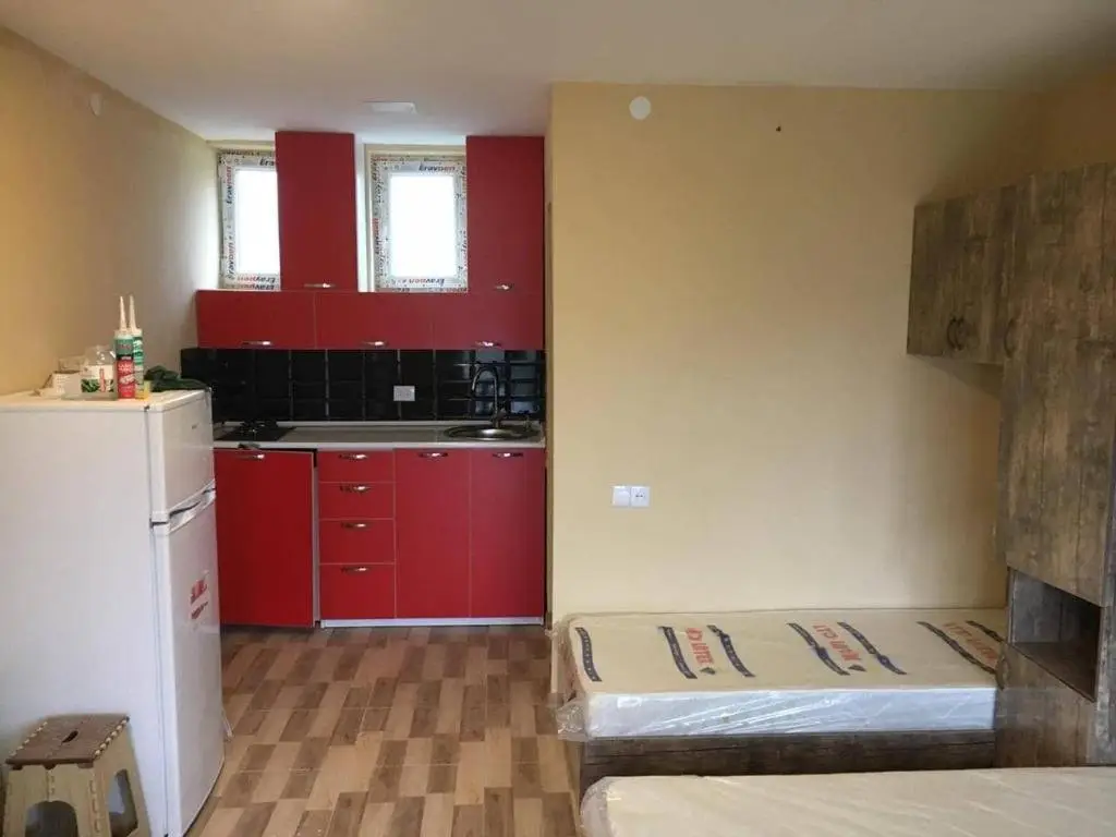 Бакуриани: Apartment Agmashenebeli 69