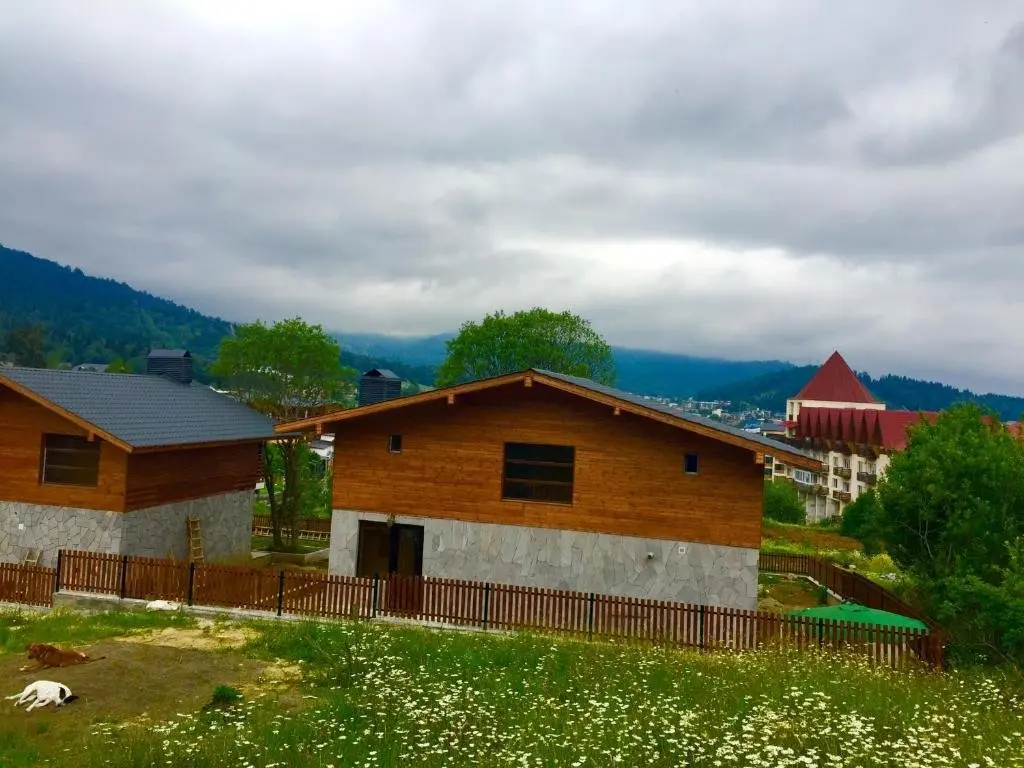 Бакуриани: Great cottage with its big yard .4 bedroom 4 bathroom with fireplace and large living room