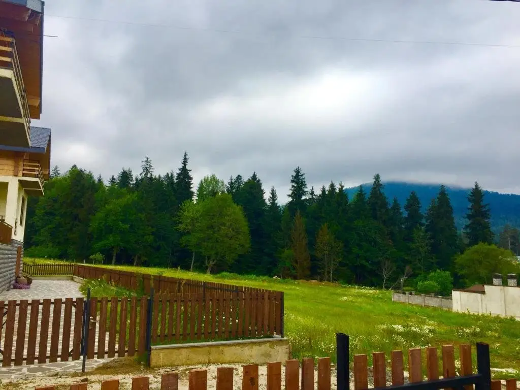 Бакуриани: Isolated Cottage With Large Yard With 4 Bedrooms With 1 Living Room And 4 Bathrooms