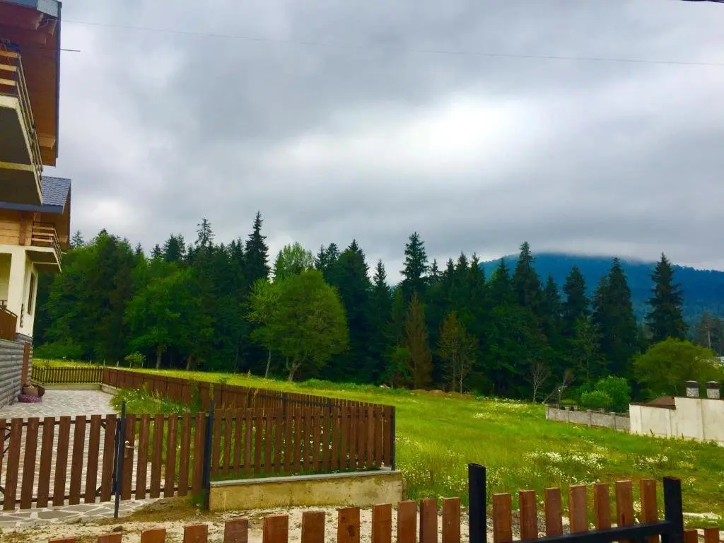 Бакуриани: Isolated Cottage With Large Yard With 4 Bedrooms With 1 Living Room And 4 Bathrooms