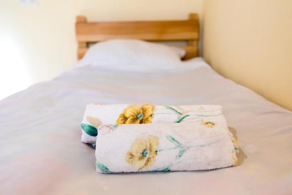 Сиони: Guesthouse Nicolo