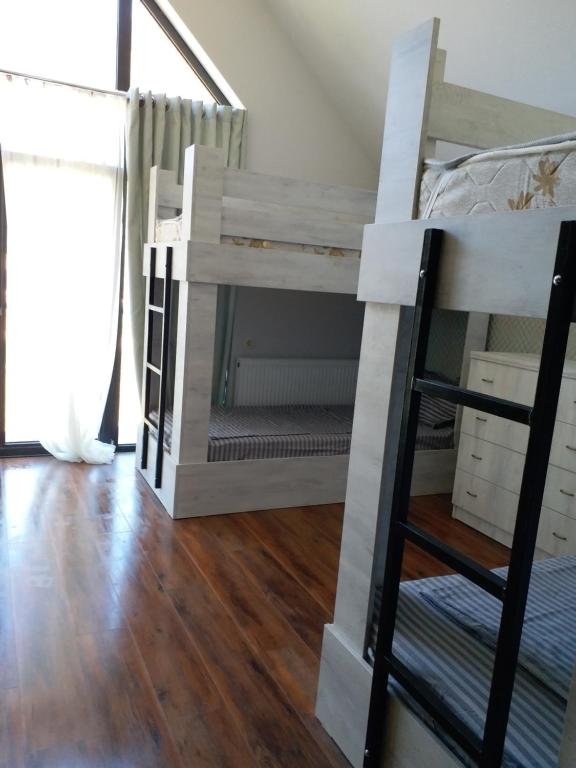 Бакуриани: Bakuriani Guest House 1