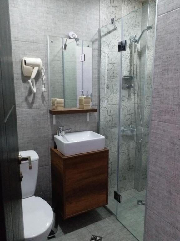 Бакуриани: Bakuriani Guest House 1