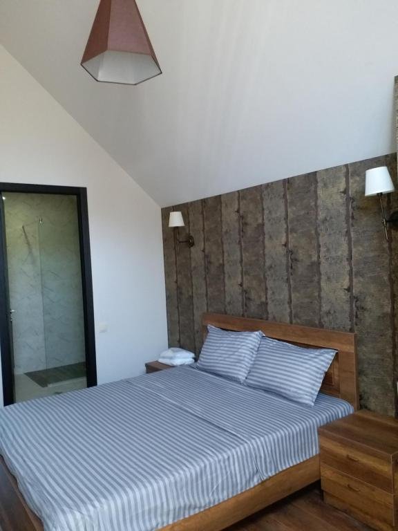 Бакуриани: Bakuriani Guest House 1