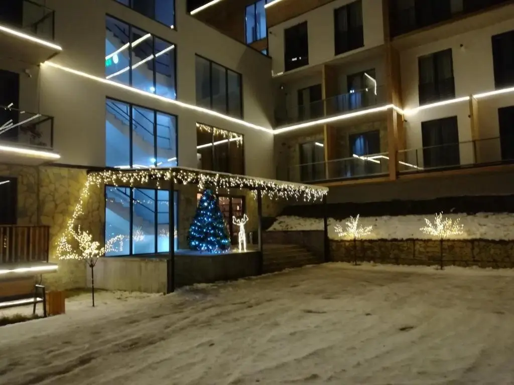 Бакуриани: Bakuriani Plaza 205